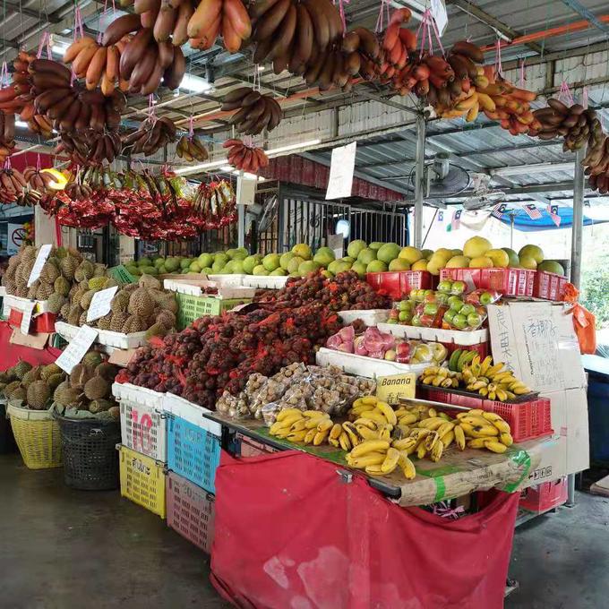 2000块能去马来西亚吗,2000块穷游马来西亚