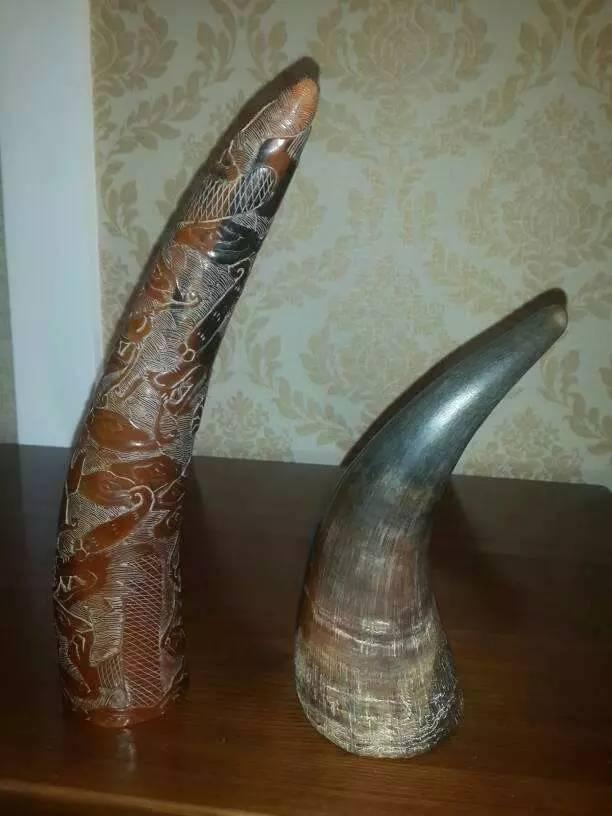 这10种文玩都是违禁品最好别碰,国家明令禁止的文玩有了会如何