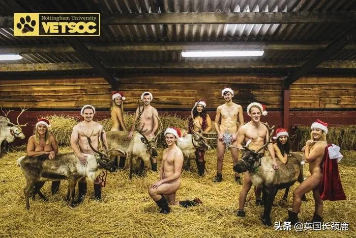 鍓戞ˉ澶у骞村害杩愬姩鎸傚巻,鍓戞ˉ澶у瀛︾敓鎱堝杽鏃ュ巻