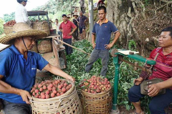 如何分辨你是广西哪个市的人,如何判断一个人是不是广西的
