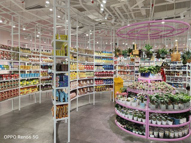 opporeno6有什么好的玩法,opporeno6标准版值不值得买