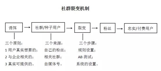 社群分享如何引流,社群分享的技巧和方法有哪些