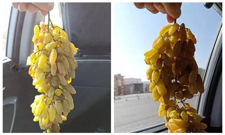 超好吃的新疆三色葡萄干,糯软香甜新疆葡萄干