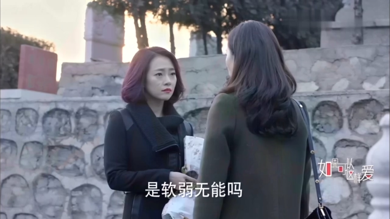 看电视学成语,看电视学习成语