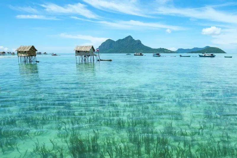 2020年各国签证新变化建议收藏,2019最全签证政策大盘点