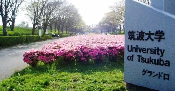 日本筑波大学院,追梦队vs日本筑波大学