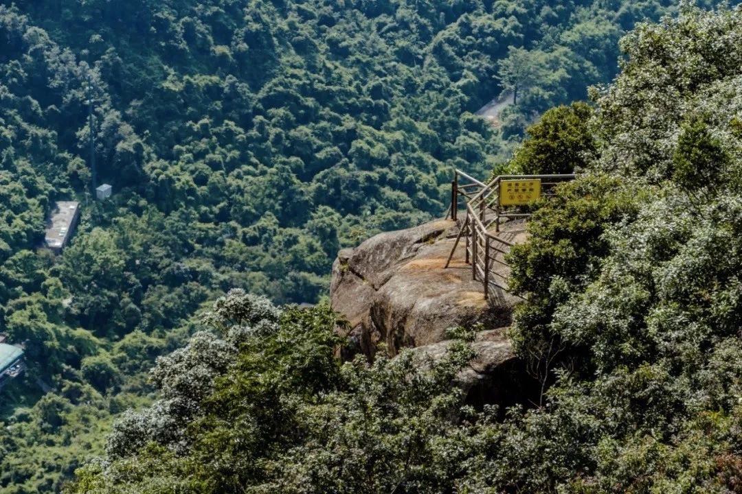 深圳游玩最佳地点排行榜前十名,深圳适合小孩游玩最佳地方推荐