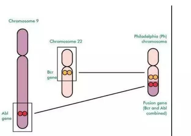 抗癌新药可治17种癌症,全球治愈癌症的新药