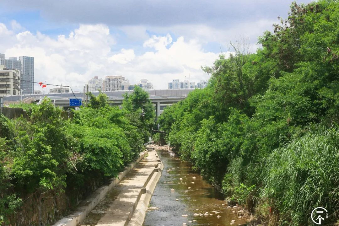布吉哪里的房租最便宜,布吉房租为什么便宜
