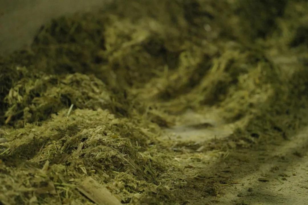 一头奶牛的自述,一头奶牛全年平均产多少斤奶