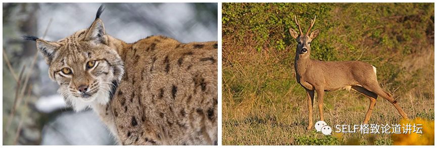 新疆天山申请世界自然遗产,天山为什么被入选为世界自然遗产