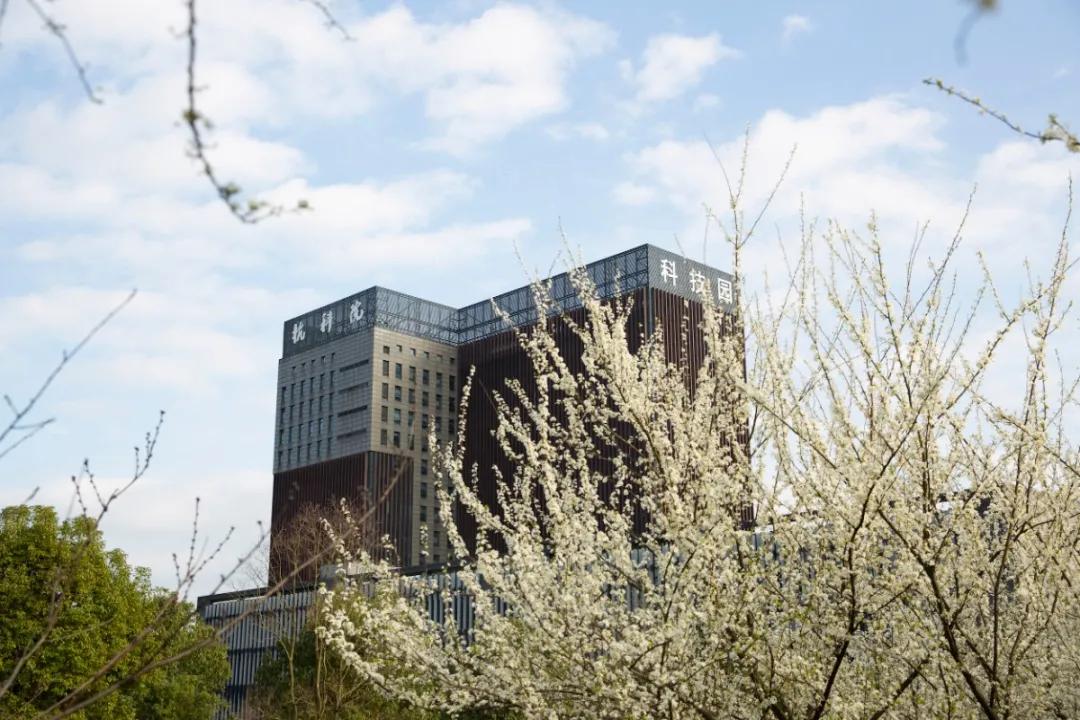 杭州美职学校风景,杭州美丽学校评选