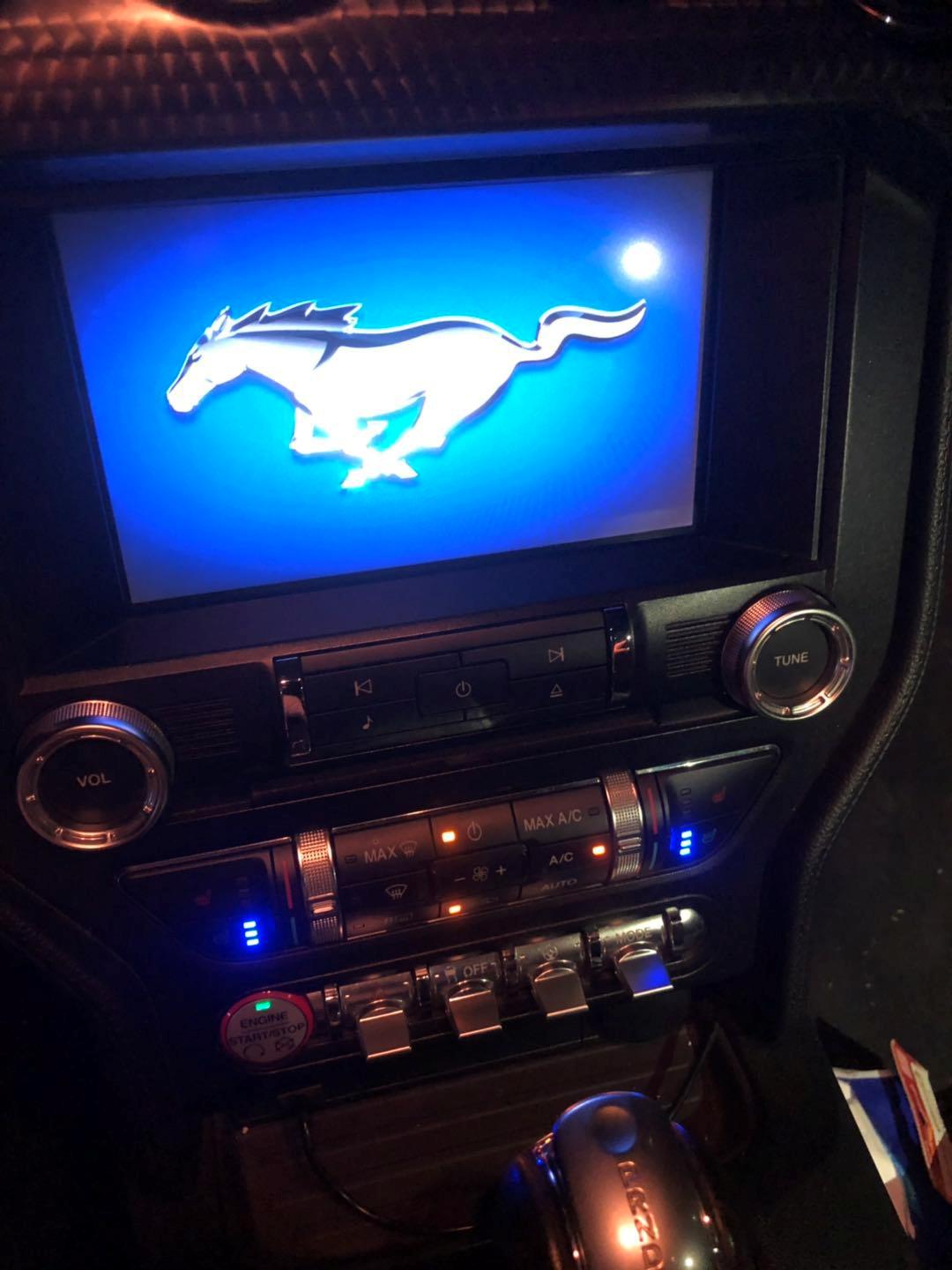 野马还是野驴,野马2.3t小野驴