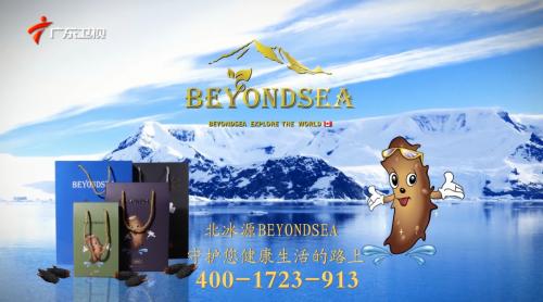 beyondsea,beyondsea图片
