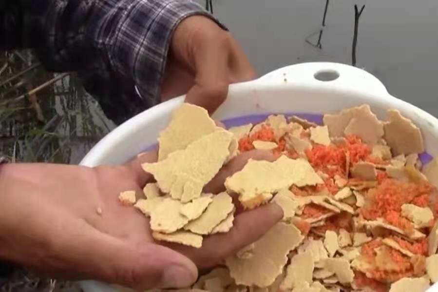 20年钓鱼技巧,夏钓草鱼最佳打窝方法