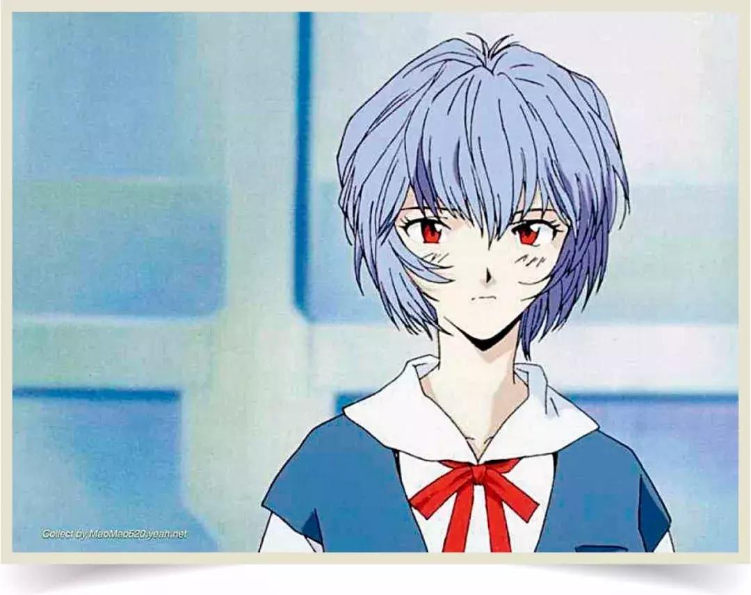 二次元黑话最新,二次元黑话100个