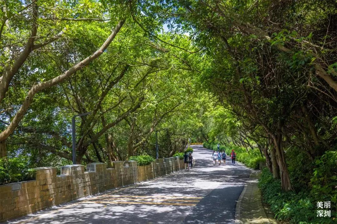 不离深也能“游”|公园超全攻略来了！千园之城，总有一款公园适合你