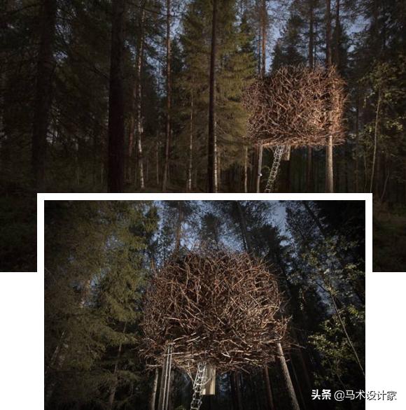 森迪部落树屋酒店,浙江树屋酒店