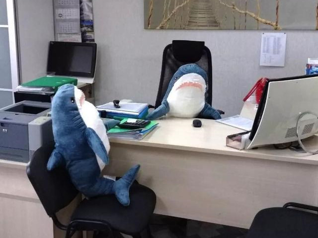 这个来自英国的洗衣机品牌，让火遍俄罗斯的宜家鲨鱼“爱上洗澡”