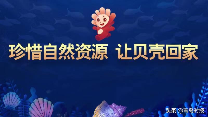 青岛开发区四中重点班,青岛开发区四中真的那么好吗