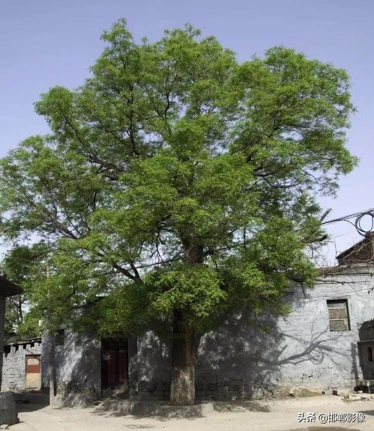 武安各个村的传说,武安村名大全