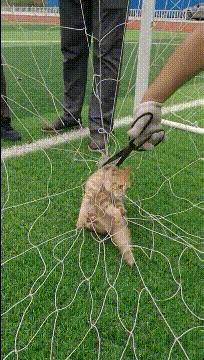 滴滴打车当年烧了多少钱,滴滴打车经历了哪些危机