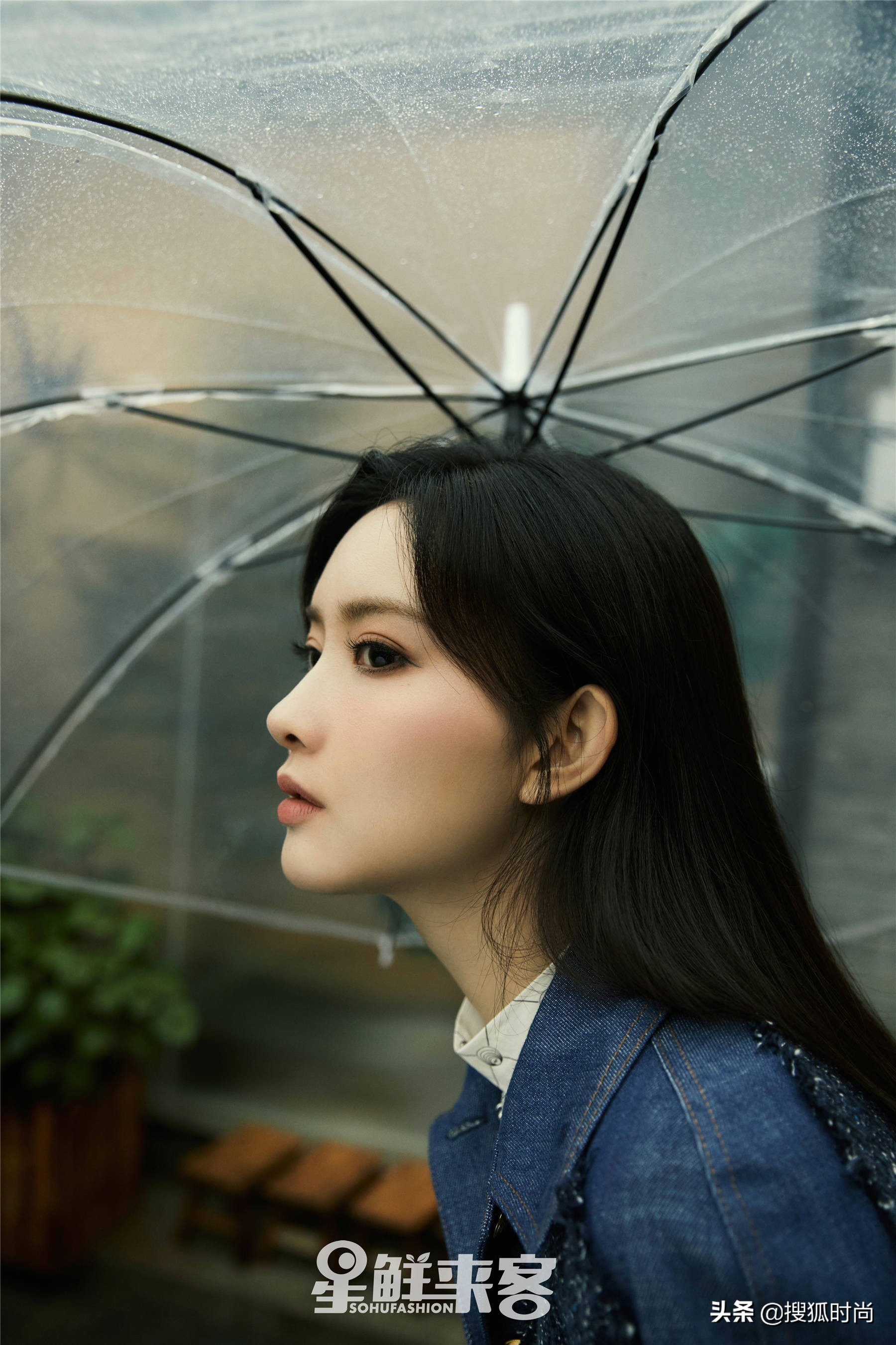 孟子义年度艺能,孟子义高情商瞬间