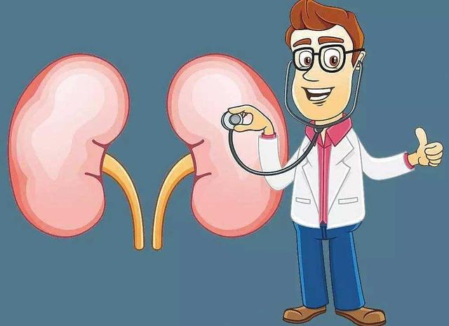 肾脏病患者要重视药物的毒副作用,药别乱吃