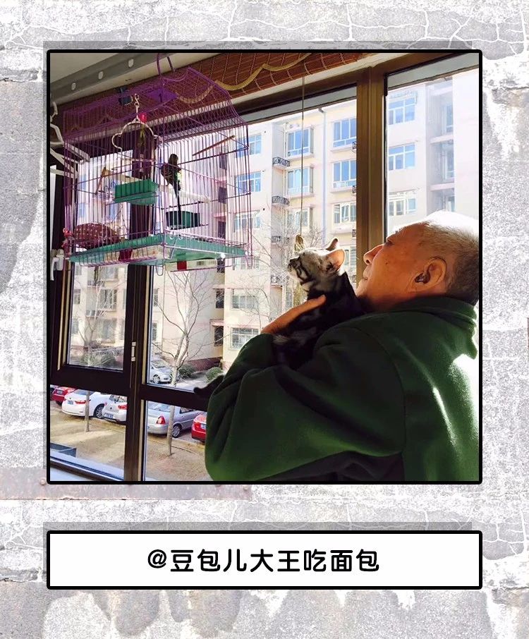 手机里唯一舍不得删的一张照片,相册里藏着一张不舍的删除的照片