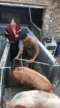 搞笑gif目光全在腿上了,爆笑gif动图我们一起出去霸气一点