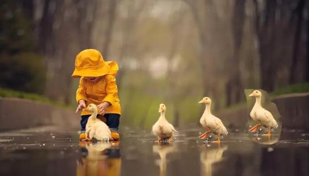 怎么抠图教你几种好用的抠图方法,如何抠图推荐三种常用抠图方法