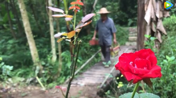 中国大爷徒手制作神器,中国功夫惊呆外国人徒手劈大理石