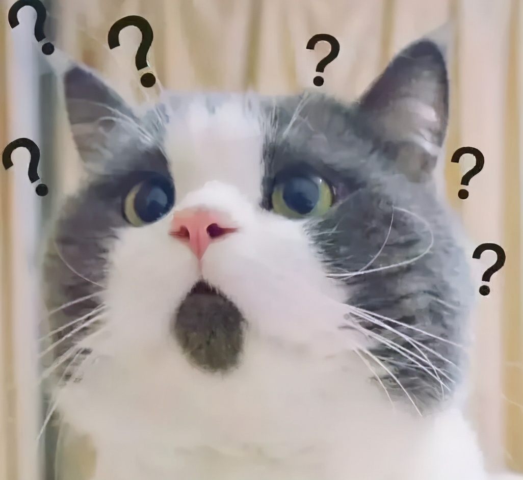 保险公司查假案怎么查,真保单和假保单的区分