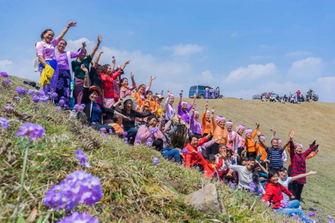 腾冲高山草甸景点,腾冲高原草场