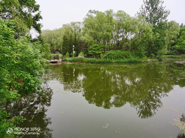 荣耀热门五款机型拍照对比：分别是Play4T/X10/30S/30/30Pro