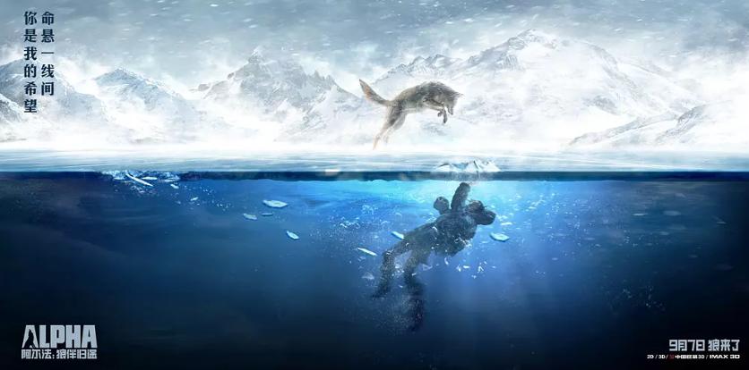 印度电影推荐大片9.0以上评分真实,最新动作电影推荐大片9.0以上评分