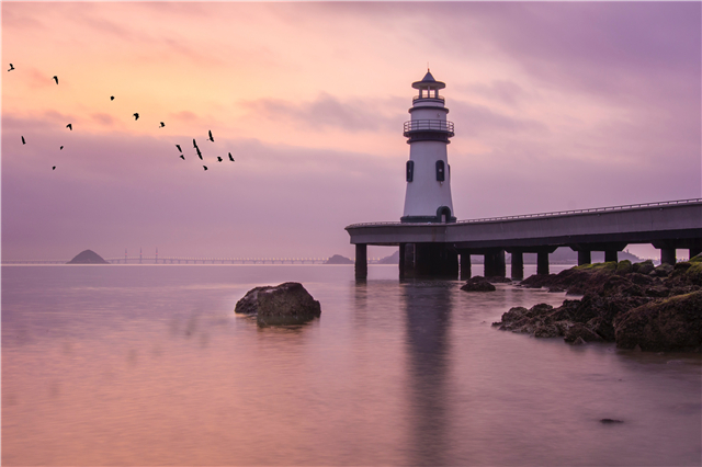 闲鱼项目如何操作,最新闲鱼攻略