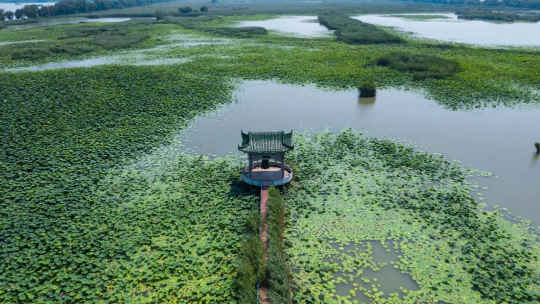 在济南花式避暑，一见“清”心！只需一瞥，便足以把酷夏原谅…