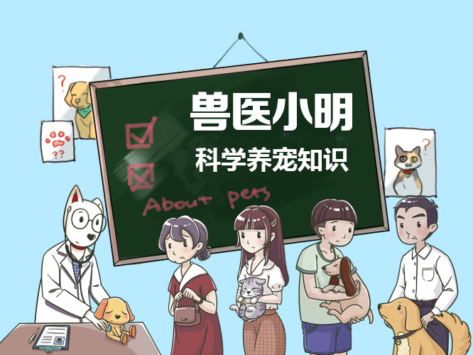 为什么狗狗晚上会一直吠叫,怎么解决狗狗半夜吠叫