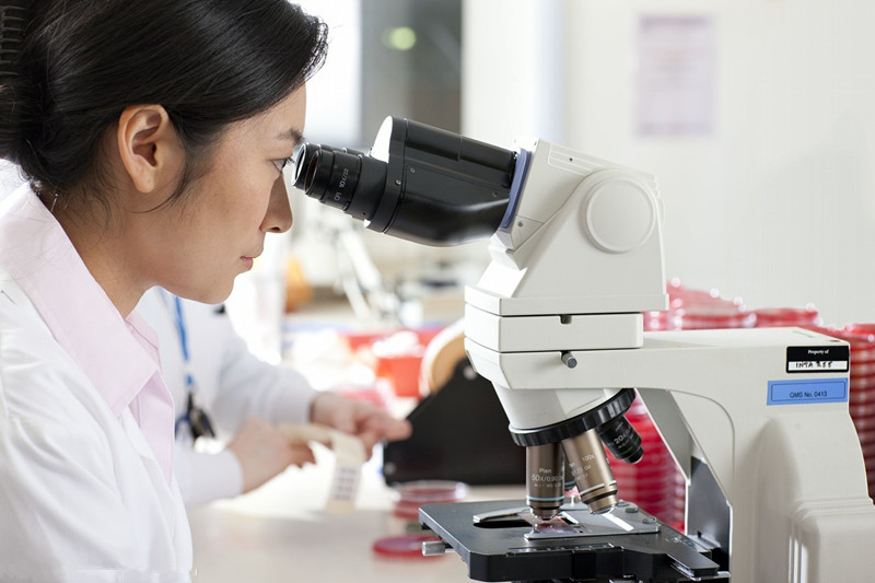 羊绒大衣为何标注是100%羊毛价格,怎么识别羊毛羊绒衫