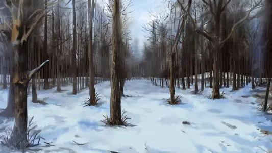 你看不懂的《林海雪原》