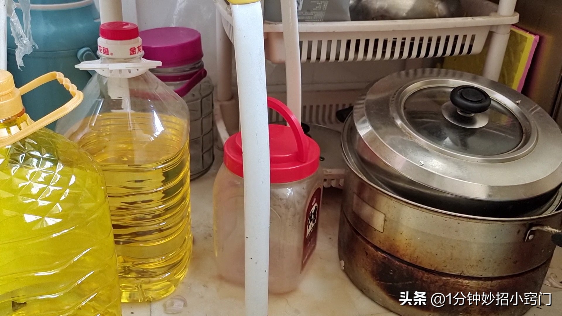 家里有蟑螂最好用什么蟑螂药,不用蟑螂药怎么除蟑螂最有效方法