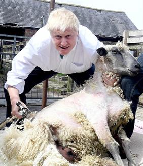 鲍里斯与未婚妻近况,鲍里斯结了几次婚