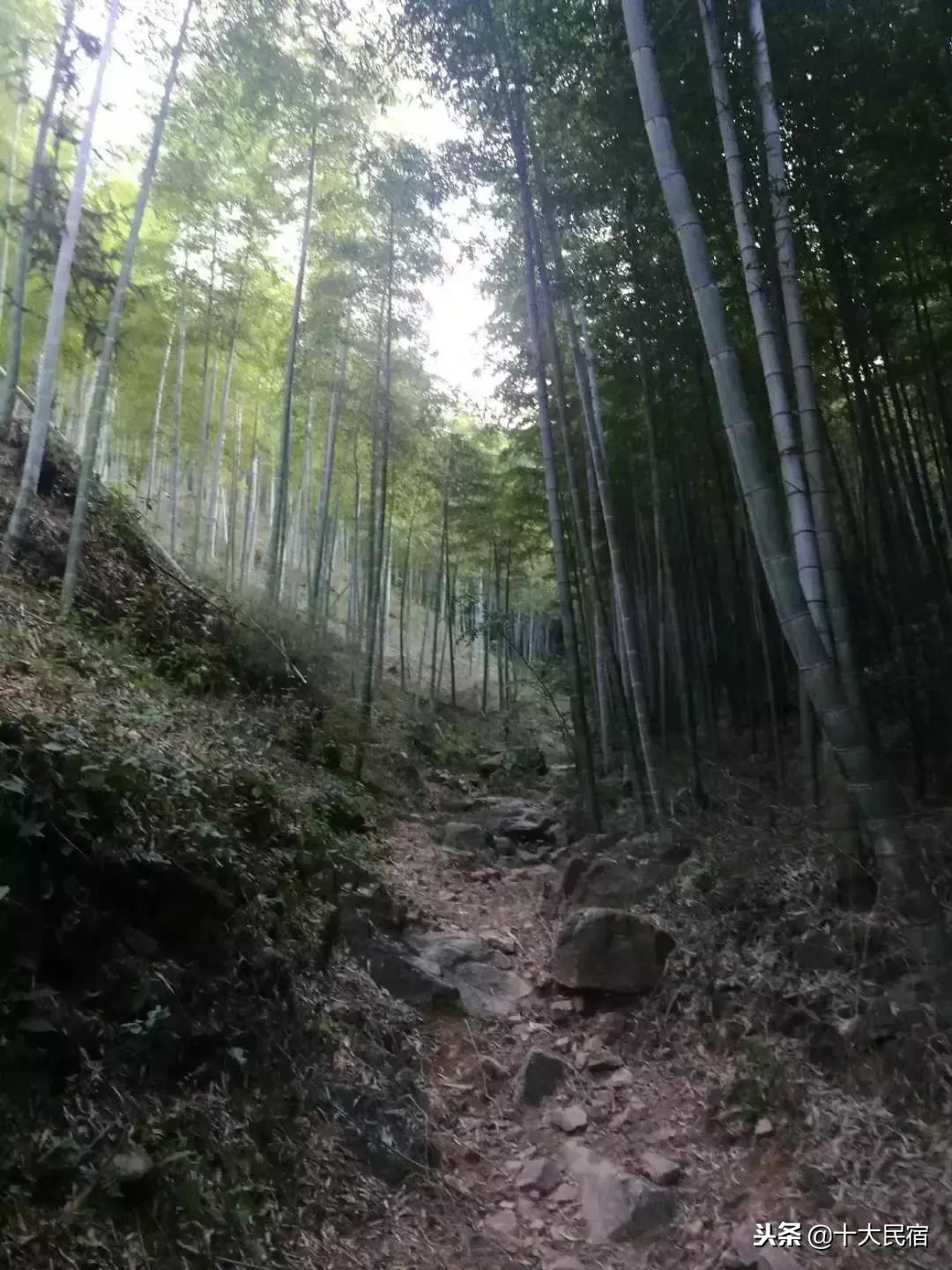 浙江长兴农家乐400元包吃住的民宿,长兴农家乐10月3日到5月三日游