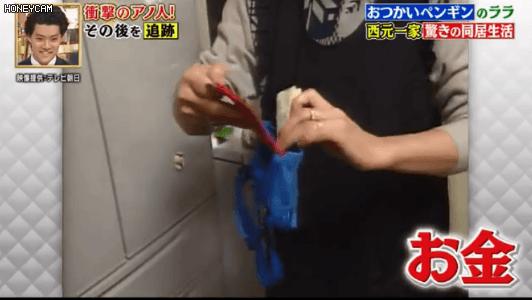 去世的小企鹅,死去的南极企鹅