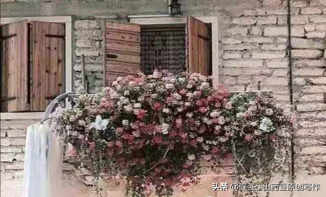 一屋一木一生一世