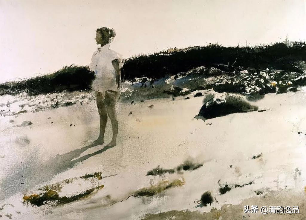 类似安德鲁怀斯的画家,安德鲁怀斯画家视频