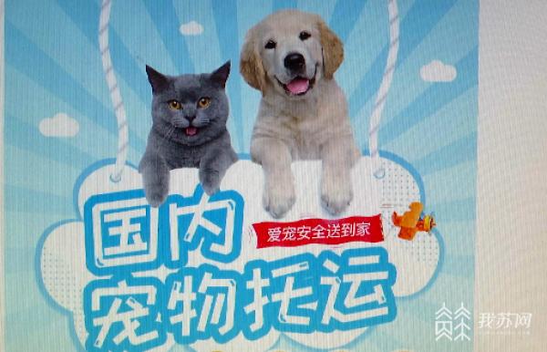 宠物托运死亡犯什么刑事责任,宠物托运死亡谁负责赔偿