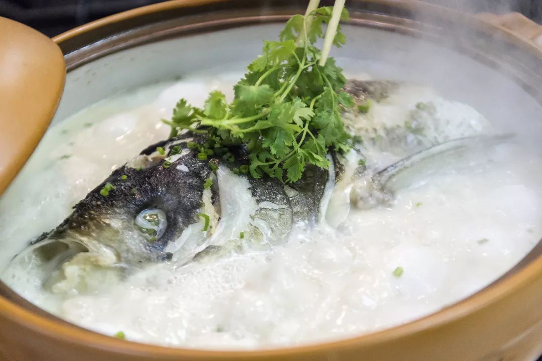 港城历史,港城发展历程