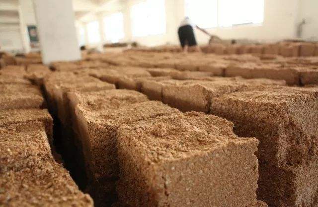 古代人怎么发明酒曲,古人酿酒的酒曲是什么做的